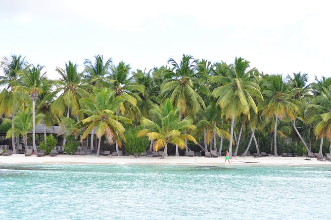 Saona Island Tour in Punta Cana - Weather, cancellations, and the booking decision
