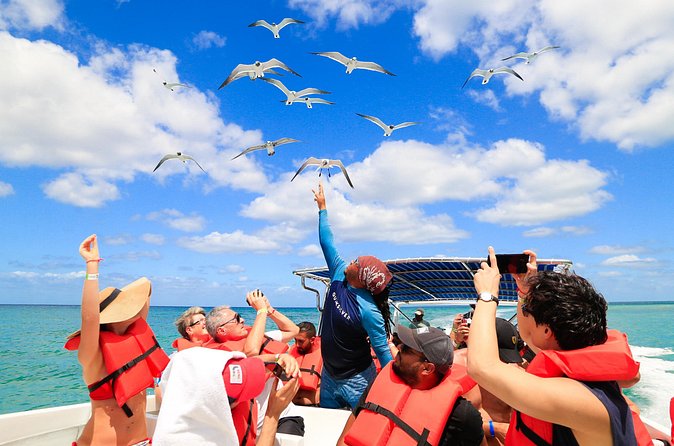 Saona Island Tour with Altos de Chavón from Punta Cana - Guides and language support can make or break the day
