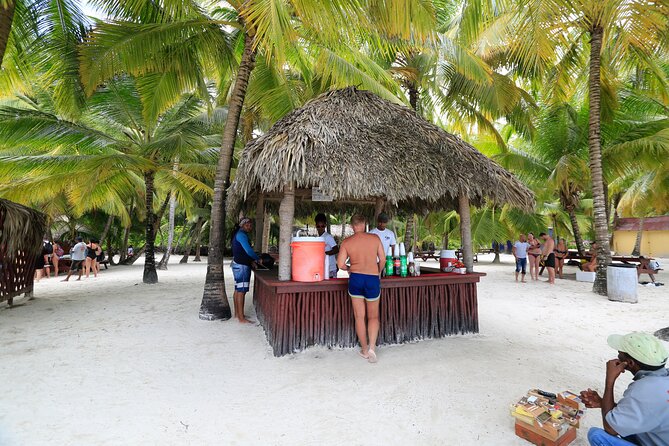 Saona Island Tour with Altos de Chavón from Punta Cana - What $99 means for value