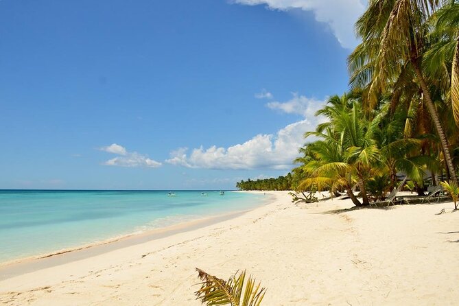 Saona Island VIP Experience – Private Boat for Up to 20 People - The natural pool stop and the lunch schedule