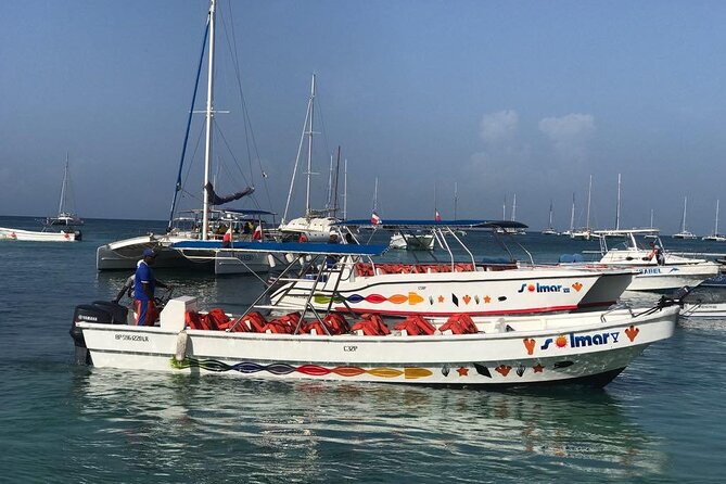Saona Island VIP Experience – Private Boat for Up to 20 People - Who will enjoy this, and who should pass
