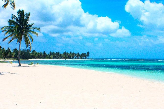 Saona Island VIP Full Day All Inclusive Excursion - A 45-minute stop at the natural pool