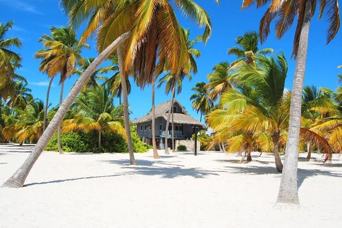 Saona Island VIP Full Day All Inclusive Excursion - Why the VIP label needs a careful reading