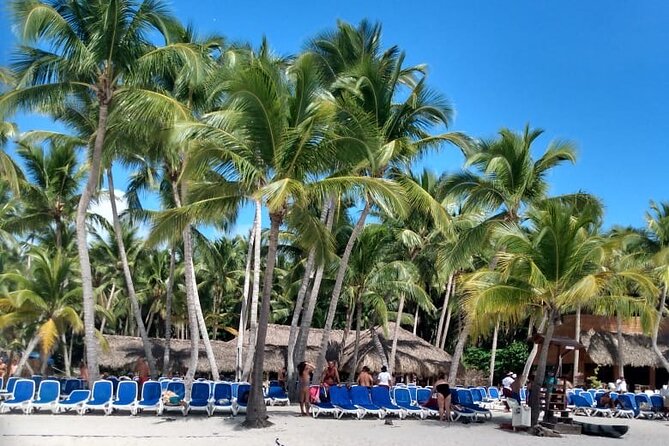 Saona Island: White Sands & Turquoise Waters” - Photo opportunities and small extras