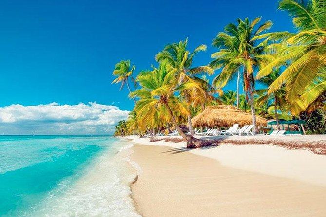 Saona Platinum Beach Day - Why Saona Island is worth the long ride