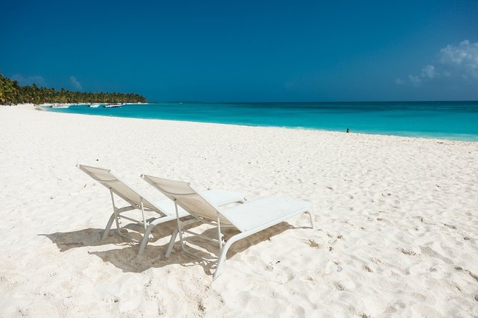 Saona Private Full-Day Tour from Punta Cana - Key points to know before booking