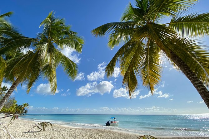 Saona Private Full-Day Tour from Punta Cana - What private really means here
