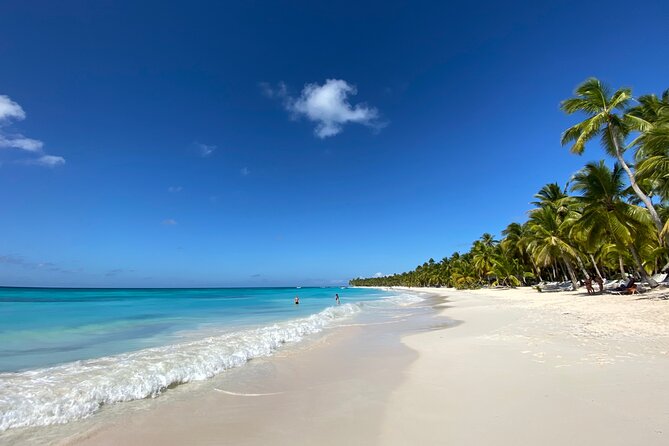 Saona Private Full-Day Tour from Punta Cana - Practical details that can affect your day