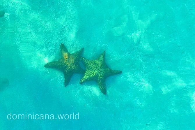 Saona Private Tour with Own Guide and Transport from Punta Cana - What the private guide adds