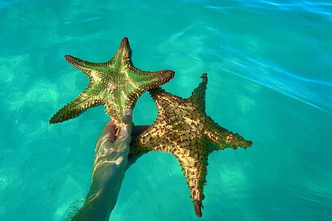 Saona Private Tour with Own Guide and Transport from Punta Cana - Is $460 per person a fair price?