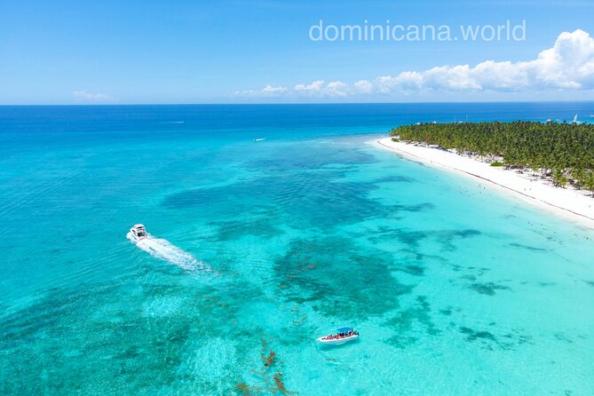 Saona Private Tour with Own Guide and Transport from Punta Cana - Comfort, timing, and practical concerns