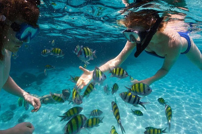 Scape Park Sunshine Cruise at Cap Cana - What the Open Bar Really Adds