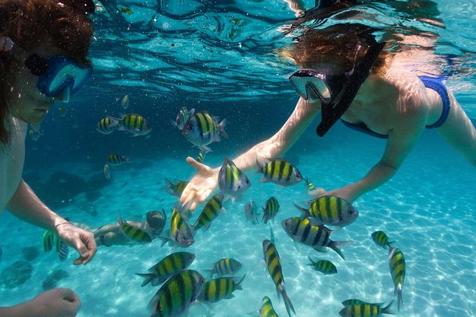 Scape Park Sunshine Cruise at Cap Cana - The Snorkeling Stop Near the Coral Reef