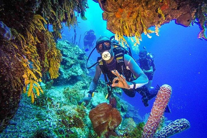 Scuba Diving at Catalina Island - 2 tank | 2 spots - What the boat day feels like from Punta Cana
