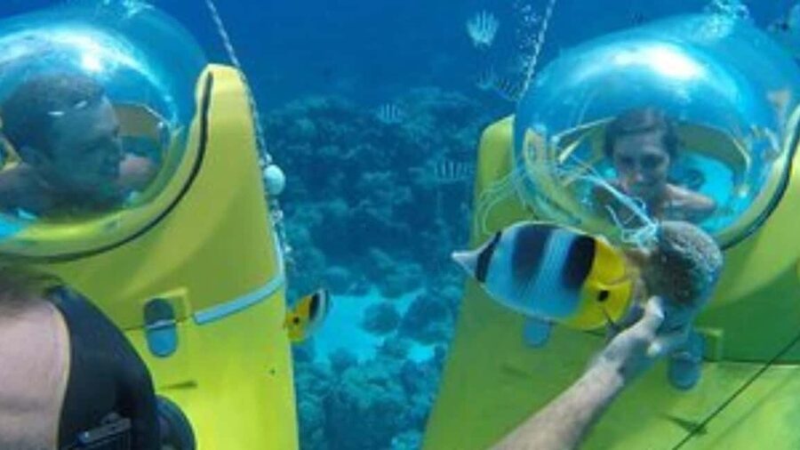 Scuba Doo - Diving Scooters in Punta Cana - Who will enjoy this most?