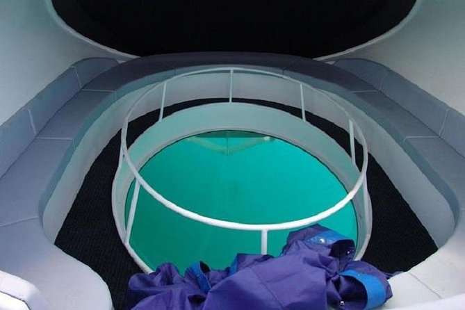 Scuba Doo Underwater Scooter in Punta Cana (Half Day) - The glass-bottom boat and possible marine life sightings