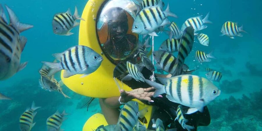 Scubadoo Punta Cana Diving Adventure - A four-hour look beneath Punta Cana’s surface