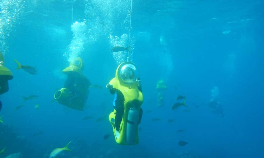 Scubadoo Punta Cana Diving Adventure - Reef views and marine life