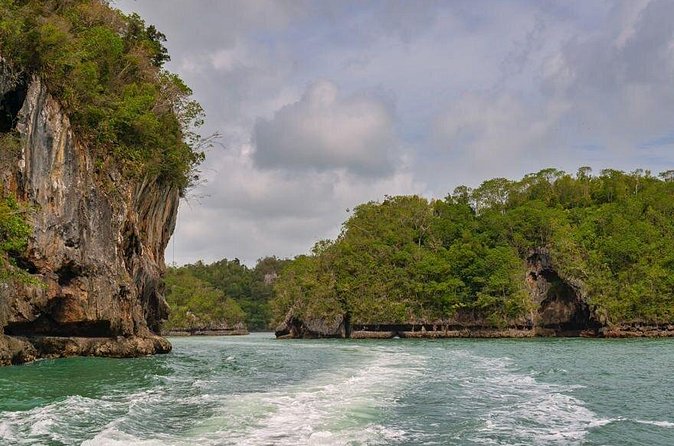 Shared 10-12 Hours Tour in Los Haitises National Park - What the tour does especially well