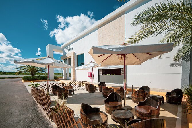 Shopping Tour in Punta Cana with Round Trip Transportation - How much shopping time should you expect?
