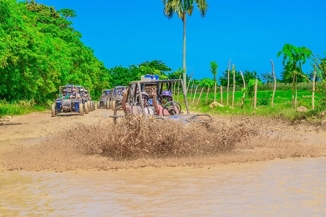 Small Group ATV and Buggy Tour - Starting at the organic ranch