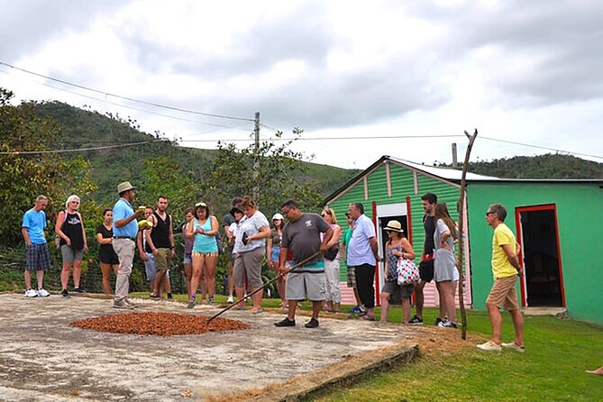 Small Group: Half-Day Cultural Tour of Punta Cana - Macao Beach Gives the Day a Proper Finish