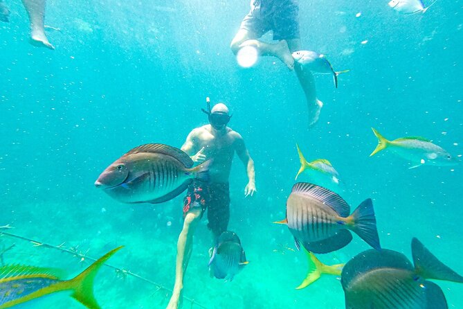 Snorkel Lovers for All Ages & Premium Seafood Lunch in Punta Cana - Second stop: the coral nursery and the main snorkeling time