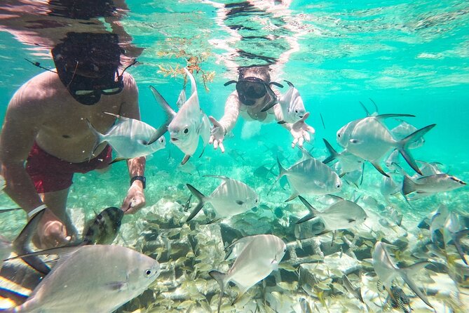 Snorkel Lovers for All Ages & Premium Seafood Lunch in Punta Cana - Children, non-swimmers, and mixed-age groups