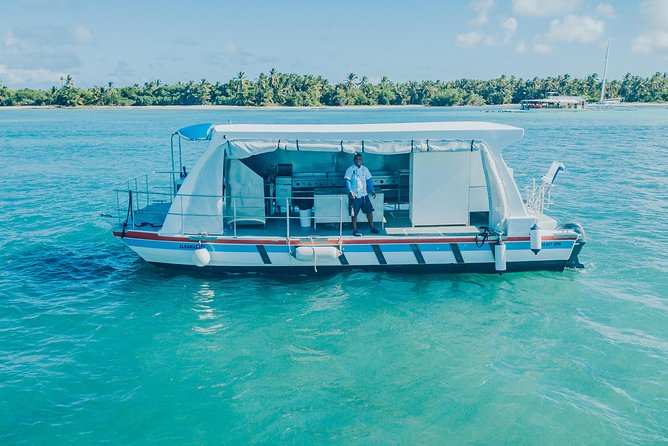 Snorkel Lovers for All Ages & Premium Seafood Lunch in Punta Cana - The marine biologist sets the tone