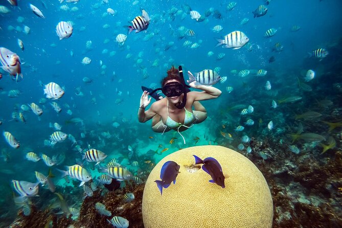 Snorkeling and Swimming on a Caribbean Cruise by Sharky Catamarans - Swimming at the Coyote floating bar
