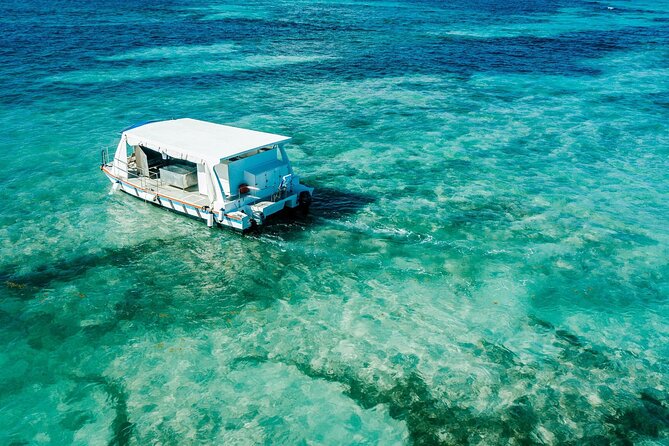 Snorkeling and Swimming on a Caribbean Cruise by Sharky Catamarans - Who should book this cruise