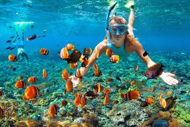 Speedboat & Snorkeling from Punta Cana - Taking the wheel off Punta Cana’s coast