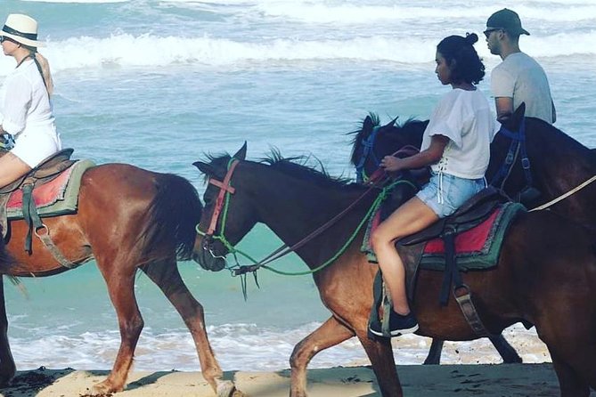 Sunset beach horsebackriding Punta Cana - Horses, safety, and rider comfort