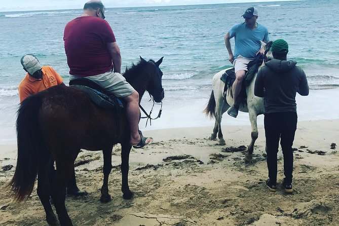 Sunset beach horsebackriding Punta Cana - Mosquitoes, weather, and what to wear