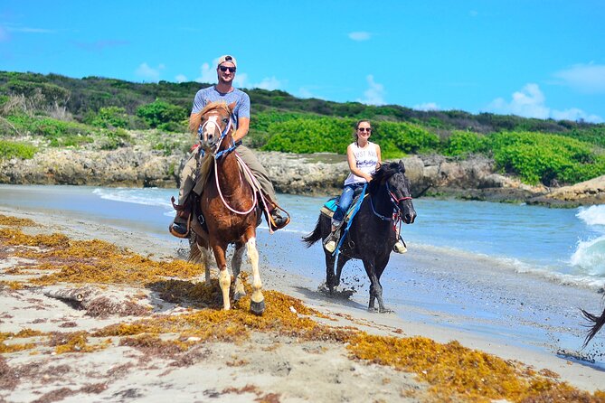 Sunset Horseback Riding Tour in Punta Cana (Private Option) - The people, horses, and ranch atmosphere