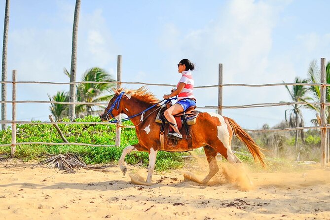 Sunset Horseback Riding Tour in Punta Cana (Private Option) - What the beach section is really like