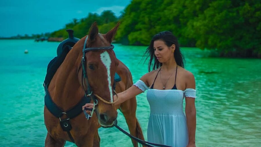 Swim Horse fom Punta Cana - Key points to know before booking