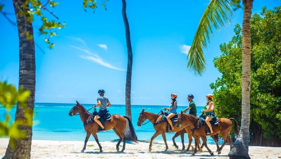 Swim Horse fom Punta Cana - The Taíno connection along the route