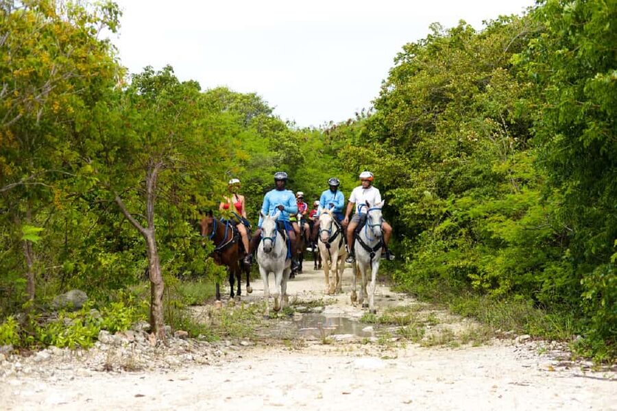 Swim Horse fom Punta Cana - Following stone paths to clear springs