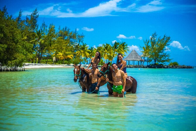 Swimming with Horses at the Beach from Punta Cana Free transportation - Key points to know before you book