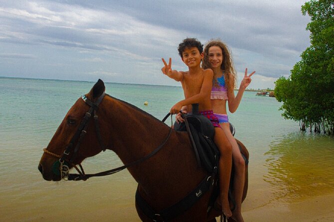Swimming with Horses at the Beach from Punta Cana Free transportation - What the $119 price includes