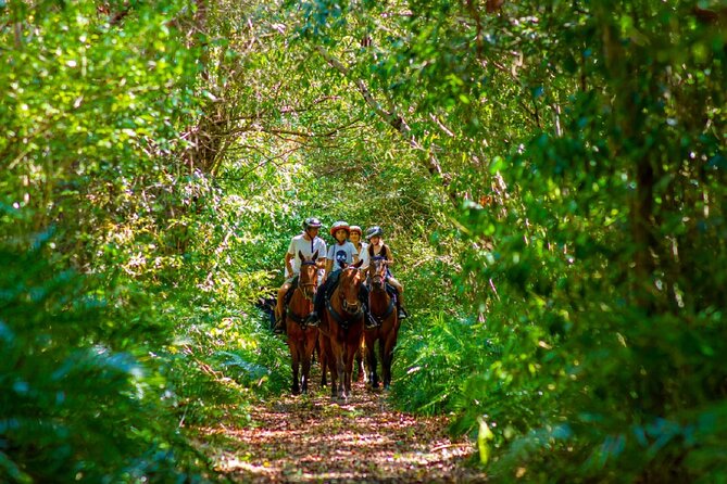 Swimming with Horses at the Beach from Punta Cana Free transportation - Who will enjoy this most