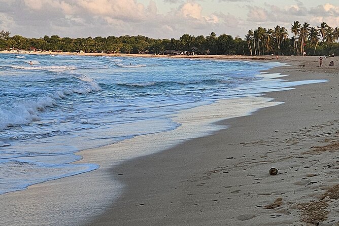 The best buggy/Atv atv punta cana - Guides who shape the experience