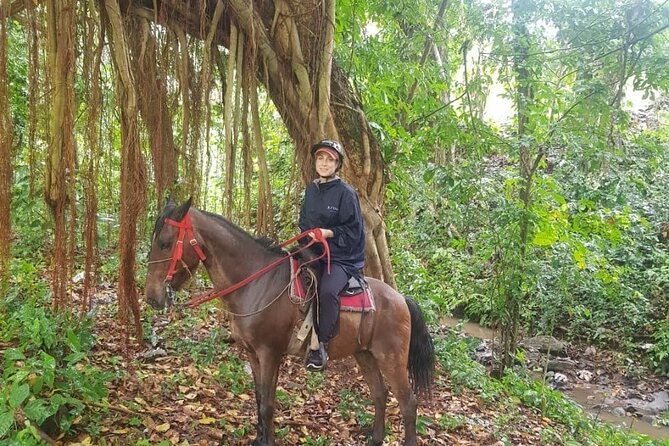 The Ultimate Dominican Horseback Riding Adventure - Key points at a glance