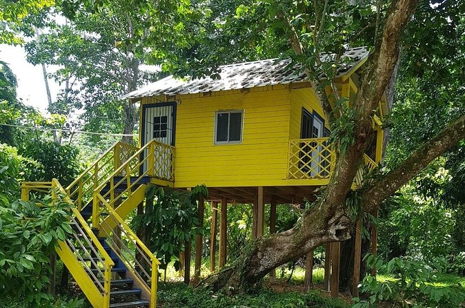 The Ultimate Dominican Horseback Riding Adventure - Cacao, tropical fruit, and the rural side of Higüey