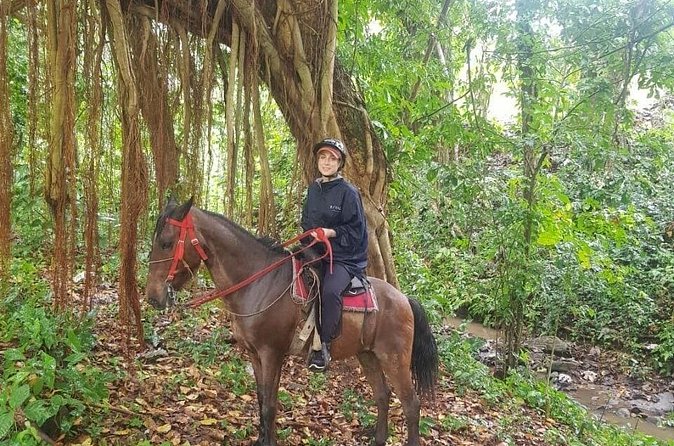 The Ultimate Dominican Horseback Riding Adventure - The Paso Higüeyano horse exhibition