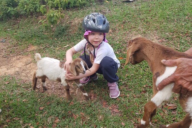 The Ultimate Dominican Horseback Riding Adventure - A 2.5-hour ride through forest, streams, and cattle country