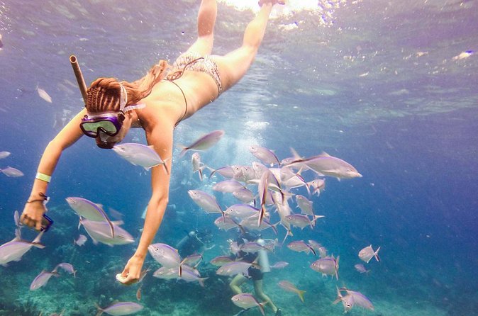 Tours to Saona Island - Group size, pace, and personal space