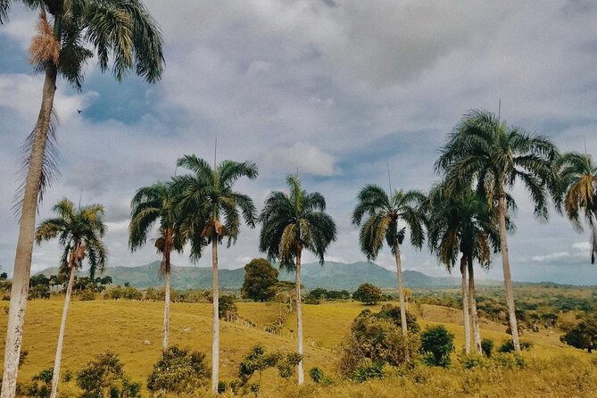 Tropical Escape Tour - The guides shape the day