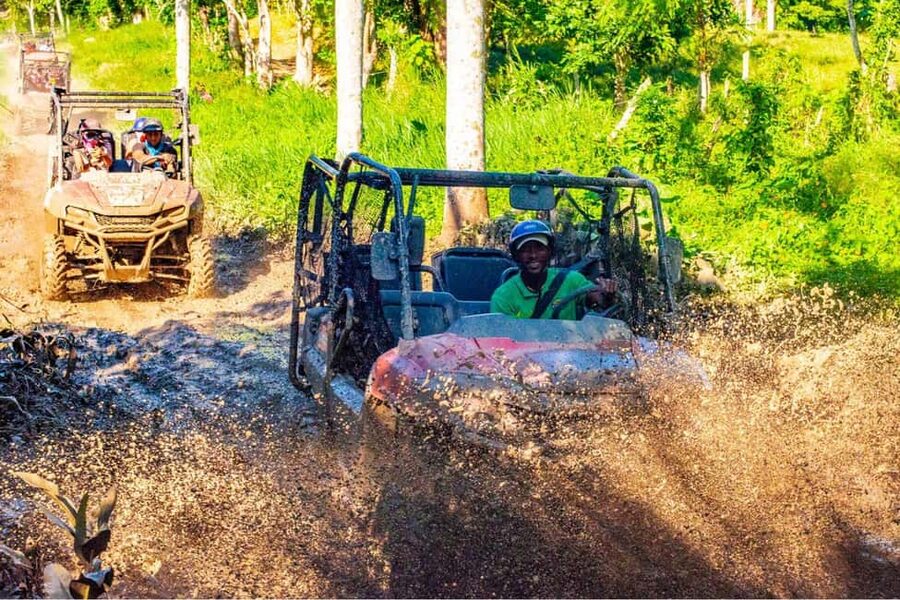 Ultimate Buggy Expedition from Punta Cana with blue cenote - Key points to know before you book